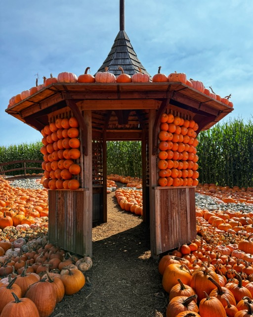 Finding fall fun and farm experiences in Abbotsford BC